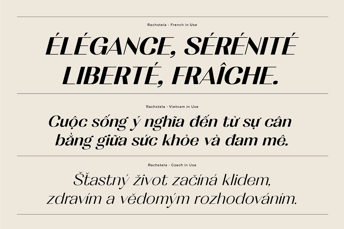 Rachstela Font Family - 14 Styles!, a Sans Serif Font by Martype (Photo 12 of 15)