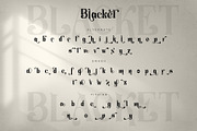 Blacket, a Serif Font by Letterara (Thumbnail 7 of 8)