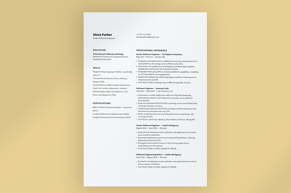 Modern Resume Template preview 4
