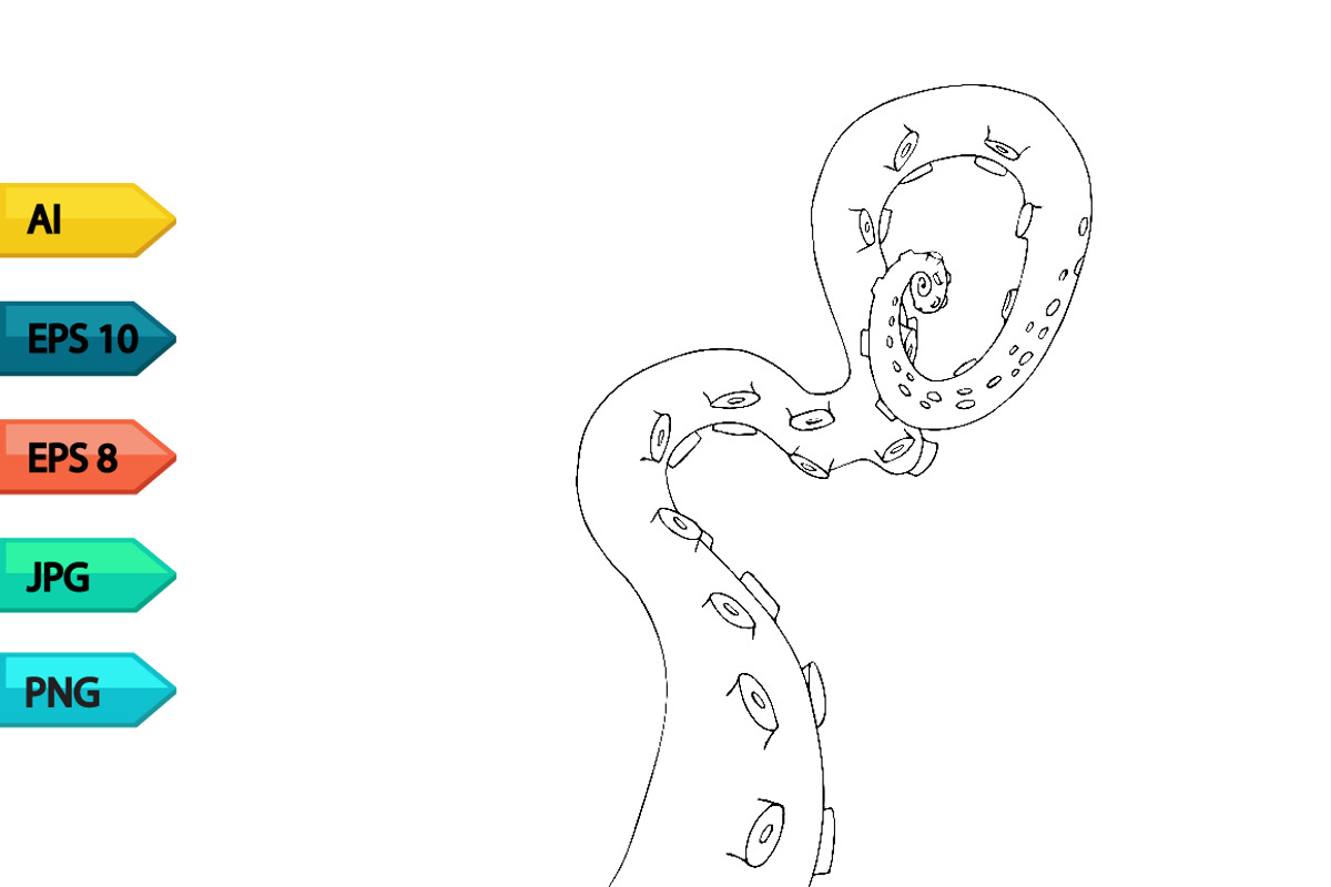 Vector sketch octopus tentacles, a Pattern Graphic by julia_musdotter (Photo 10 of 10)