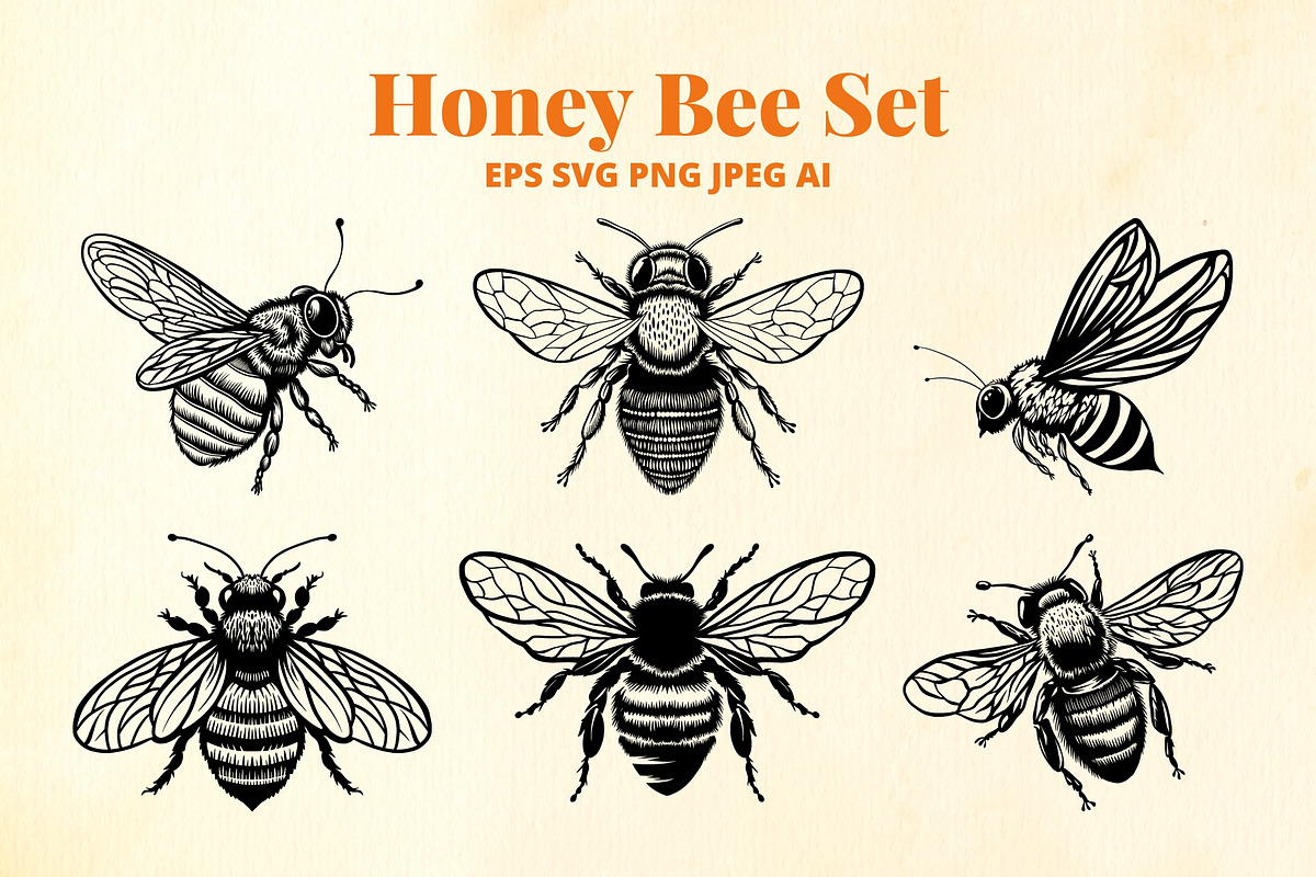Honey Bee SVG Clipart for Stickers, an Animal Illustration by VectorPanther (Photo 1 of 7)
