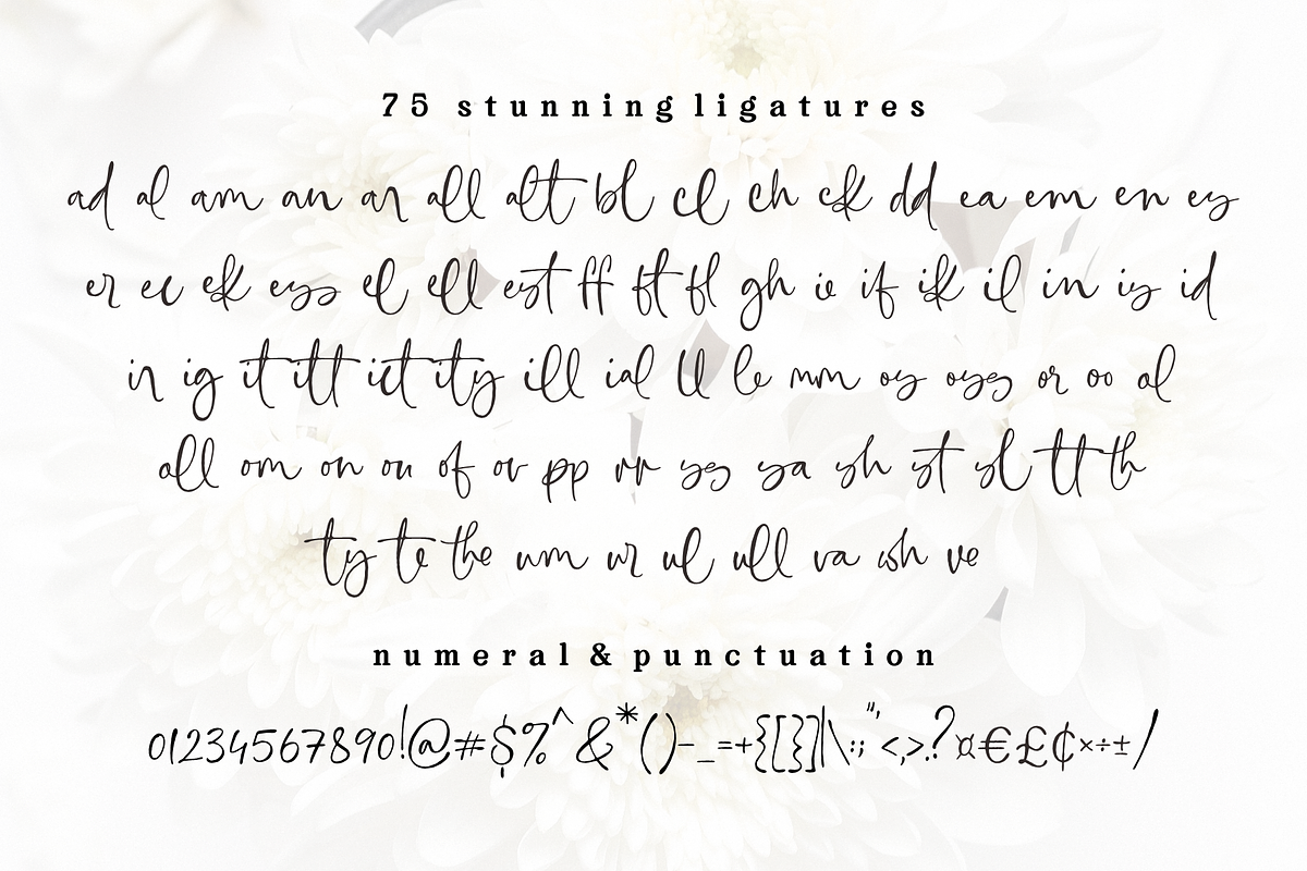 Fleur Marche – Modern Calligraphy, a Script Font by RedyStudio (Photo 13 of 13)