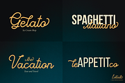 Lotialli | Monoline Script Font, a Script Font by Denustudios (Thumbnail 7 of 15)