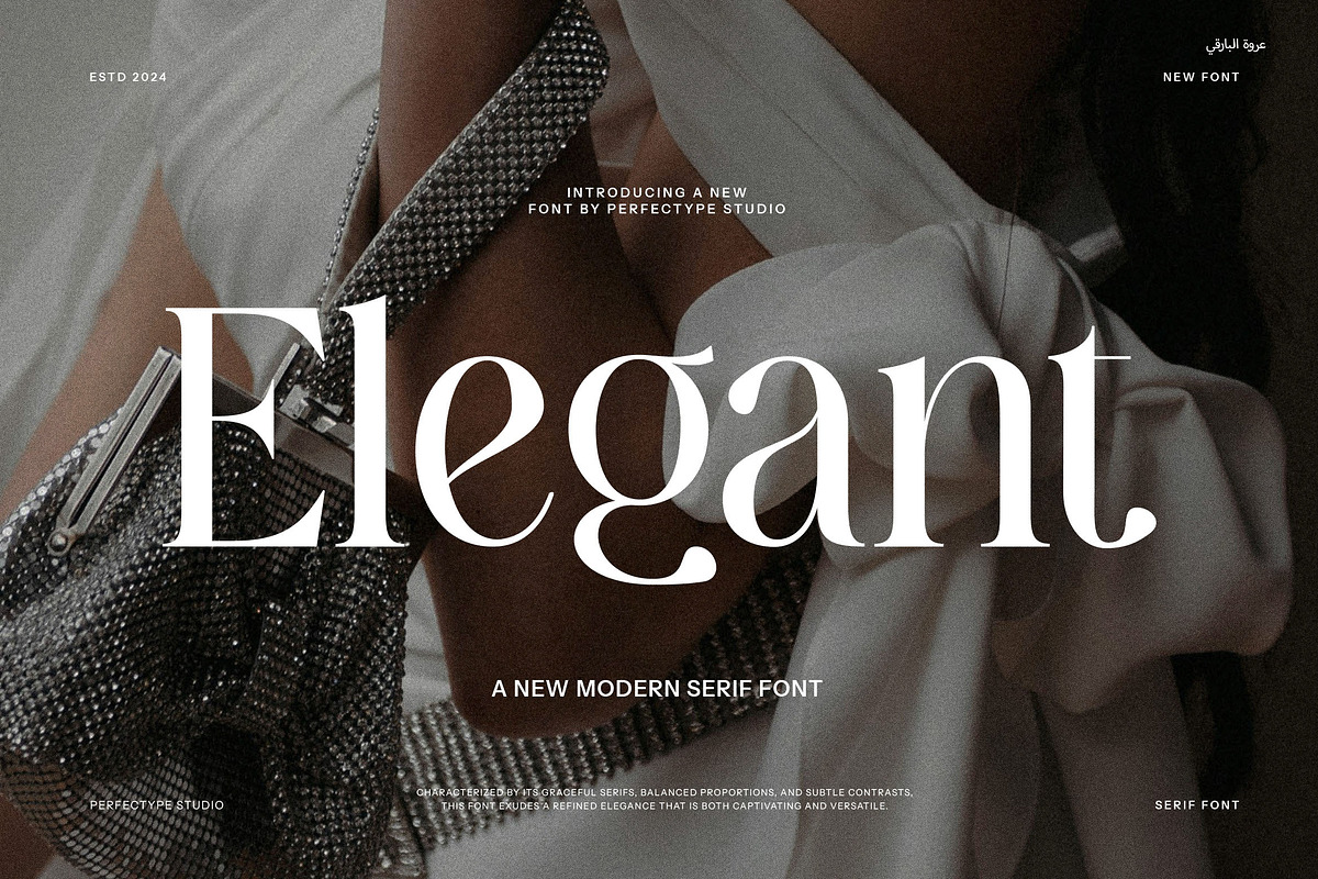 Elegant Serif Font, a Serif Font by Perfectype (Photo 1 of 8)