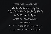Liquell Monetta, a Handwritten Font by Integritype Studio (Thumbnail 9 of 15)