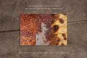 Vestige II · Organic Backgrounds, a Background Graphic by alonahaidash (Thumbnail 16 of 16)