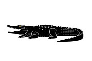 Crocodile Alligator Vector Bundle, an Illustration by jahid234 (Thumbnail 46 of 51)