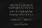 Qinanta Elegant Font, a Serif Font by Graphicxell (Thumbnail 7 of 8)
