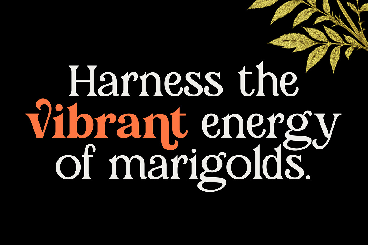 Marigold Magic: Vintage Serif Font, a Serif Font by Helotype (Photo 2 of 8)