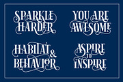 Herina Font + Extra, a Serif Font by Graptail (Thumbnail 6 of 13)