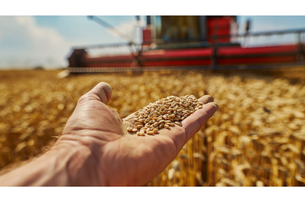 Hand Holding Grain in Front of, an Industrial Photo by CREATIVEDEF