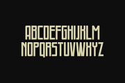 Fontaine Typeface, a Serif Font by Tugcu Design Co. (Thumbnail 2 of 4)