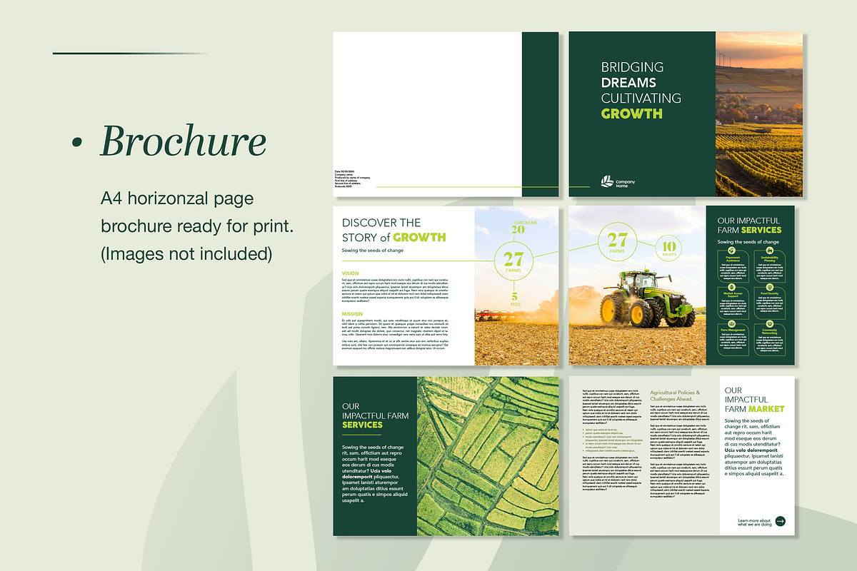 Agriculture Print Templates – Part 3, a Marketing Template by Maison de Pixels (Photo 4 of 4)