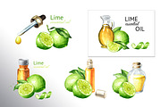 Lime citrus. Watercolor collection, a Food Illustration by Daria Ustiugova (Thumbnail 16 of 21)