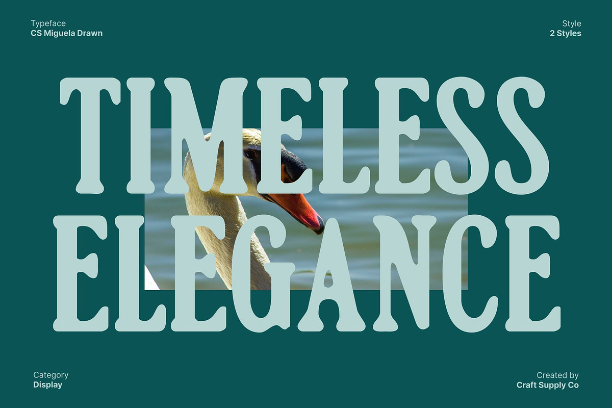 CS Miguela Drawn, a Serif Font by Craft Supply Co. (Photo 4 of 8)