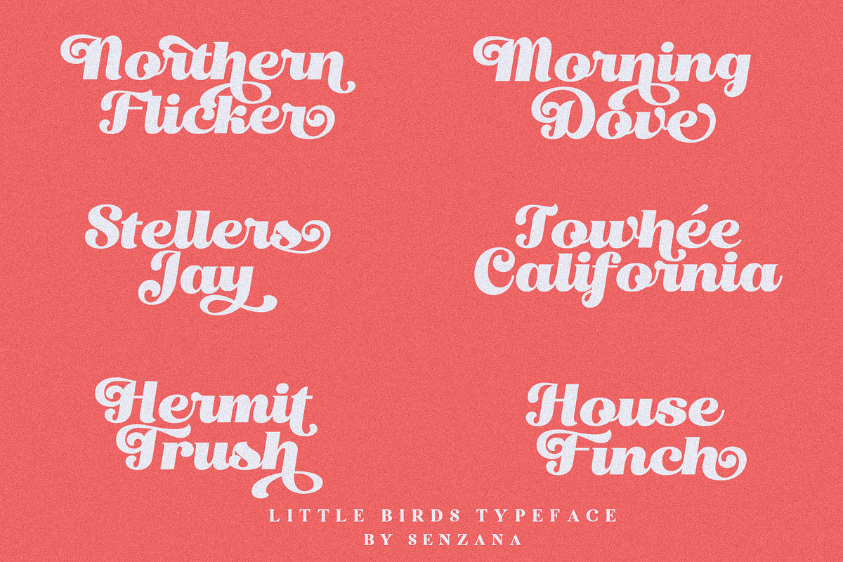 Little Bird Display Script preview 5
