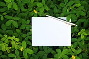 Greenery Mockup, Styled Stock Photo, a Product Mockup by littleprince (Thumbnail 3 of 3)
