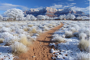 Angels Landing Hiking Trail is, a Nature Photo by ZinetroN