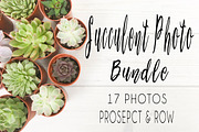 Succulent Photo Bundle, a Photo by Hudson Lark Studio (Thumbnail 1 of 8)