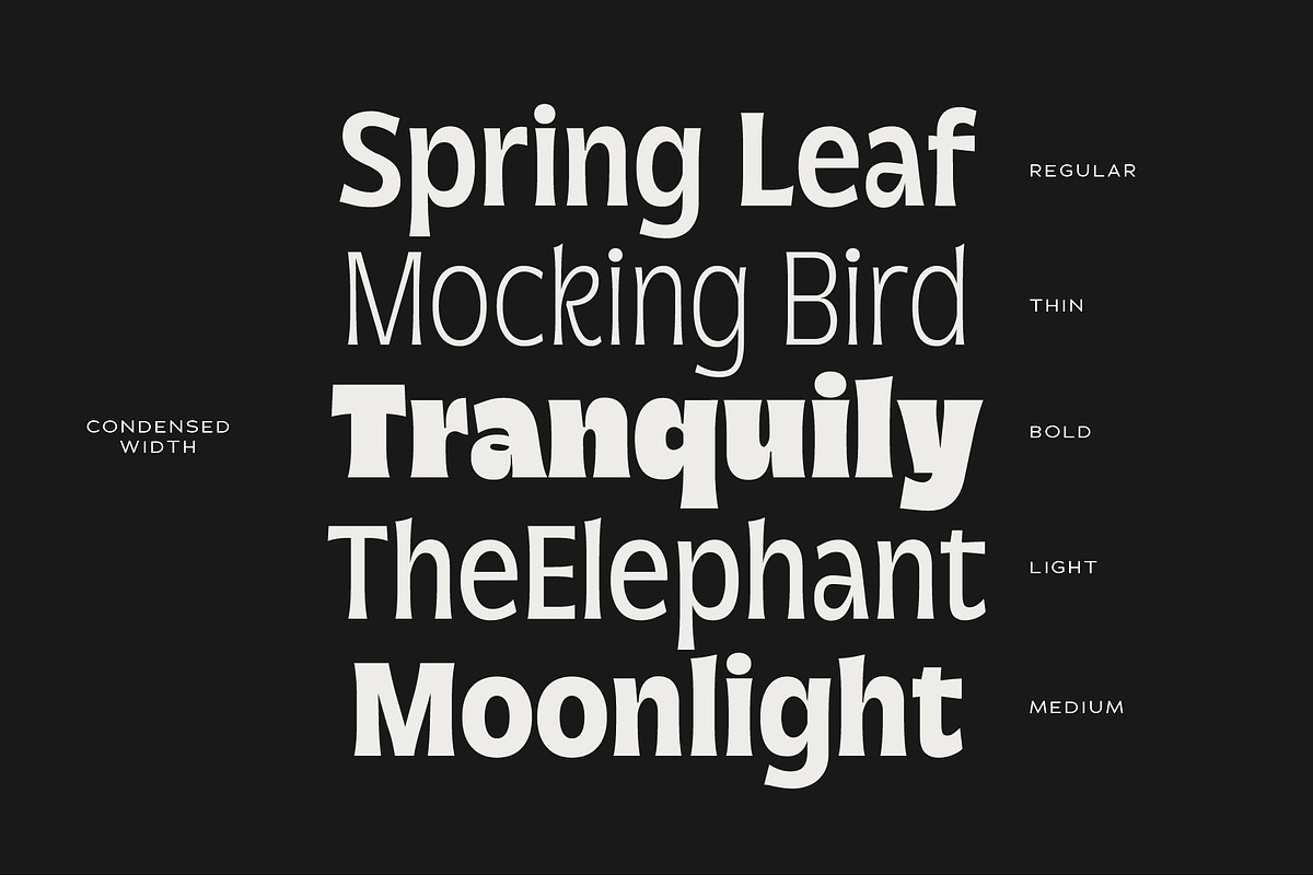Norsy - Variable Display, a Sans Serif Font by Adam Fathony (Photo 17 of 19)