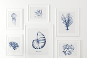 Ocean Memories Underwater Collection, an Animal Illustration by beehouse studio (Thumbnail 2 of 12)