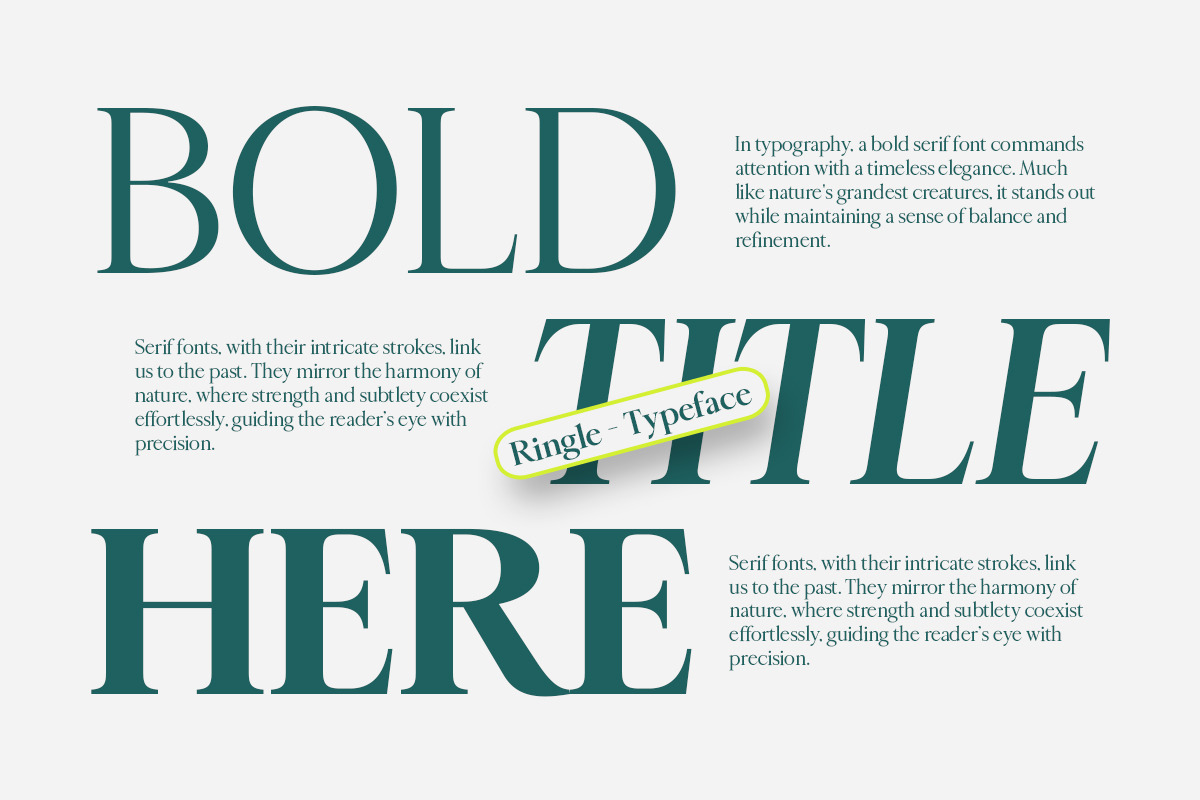 Ringle, a Serif Font by Attract Studio (Photo 3 of 13)