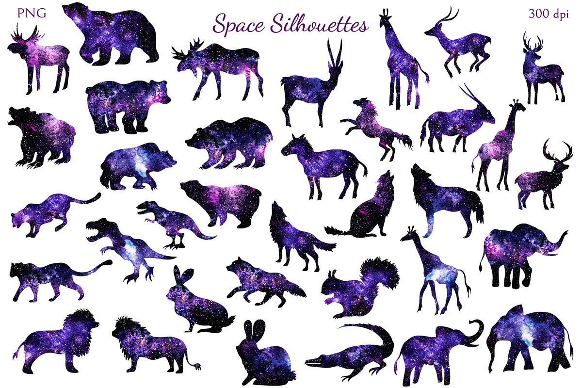 Space Silhouettes, an Animal Illustration by Salted Galaxy (Photo 2 of 8)