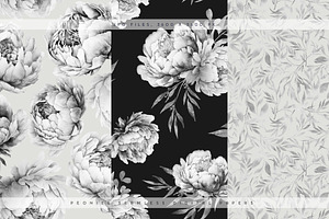 Peonies Patterns & Elements IV