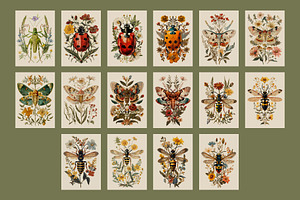 Insects Vintage Posters