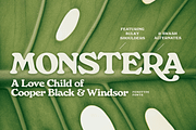 Monstera - Delicious Retro Serif, a Serif Font by Fenotype (Thumbnail 1 of 13)