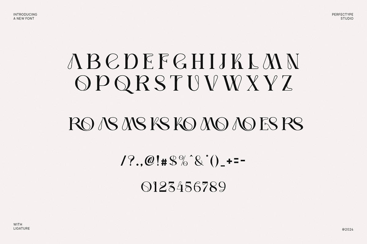 Gomsig Elegant Serif Font Typeface, a Serif Font by Perfectype (Photo 6 of 6)