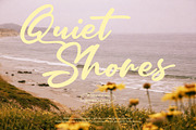 Dignetta - Casual Brush Script, a Script Font by Inviline.co (Thumbnail 8 of 10)