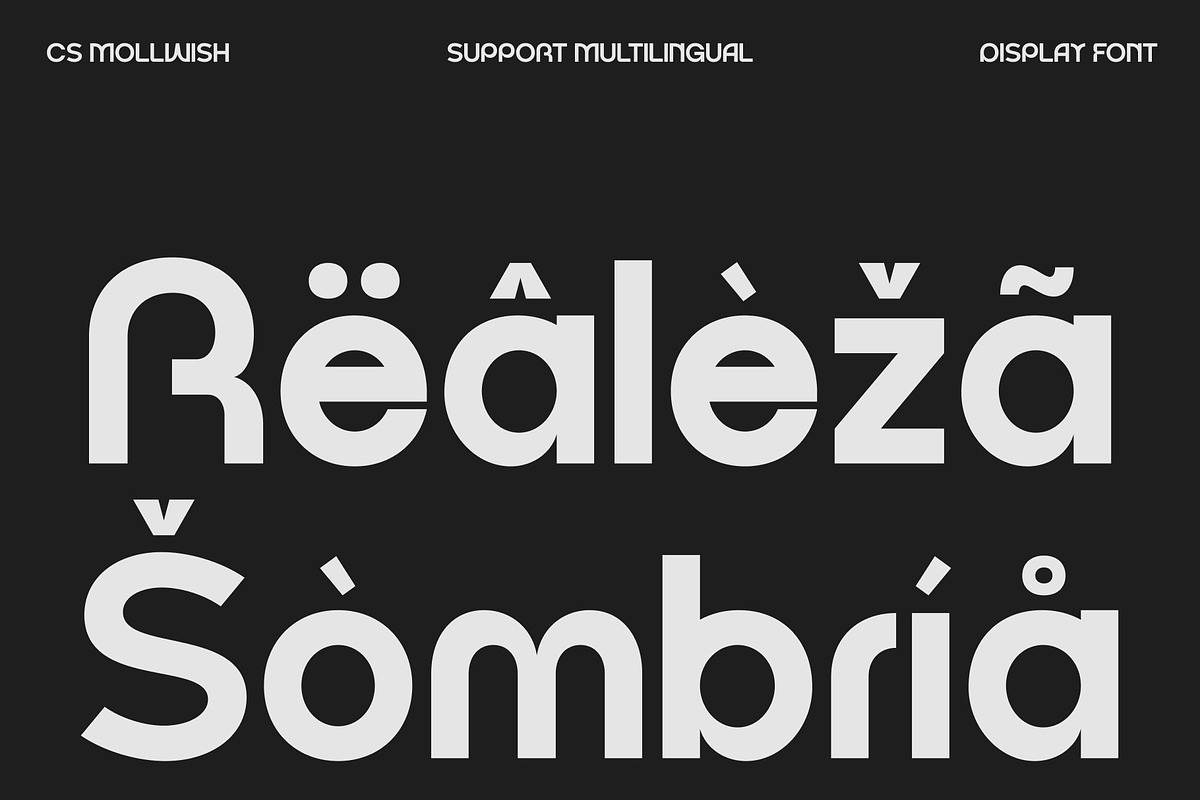 CS Mollwish – Modern Display Font, a Sans Serif Font by Craft Supply Co. (Photo 5 of 8)