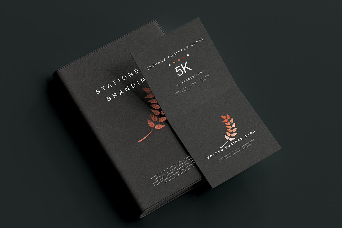Stationery Branding Mockup Bundle, a Packaging Mockup by pmvch (Photo 109 of 120)