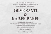 Surfside Paradise - Classy Serif, a Serif Font by Shakira Studio (Thumbnail 15 of 18)