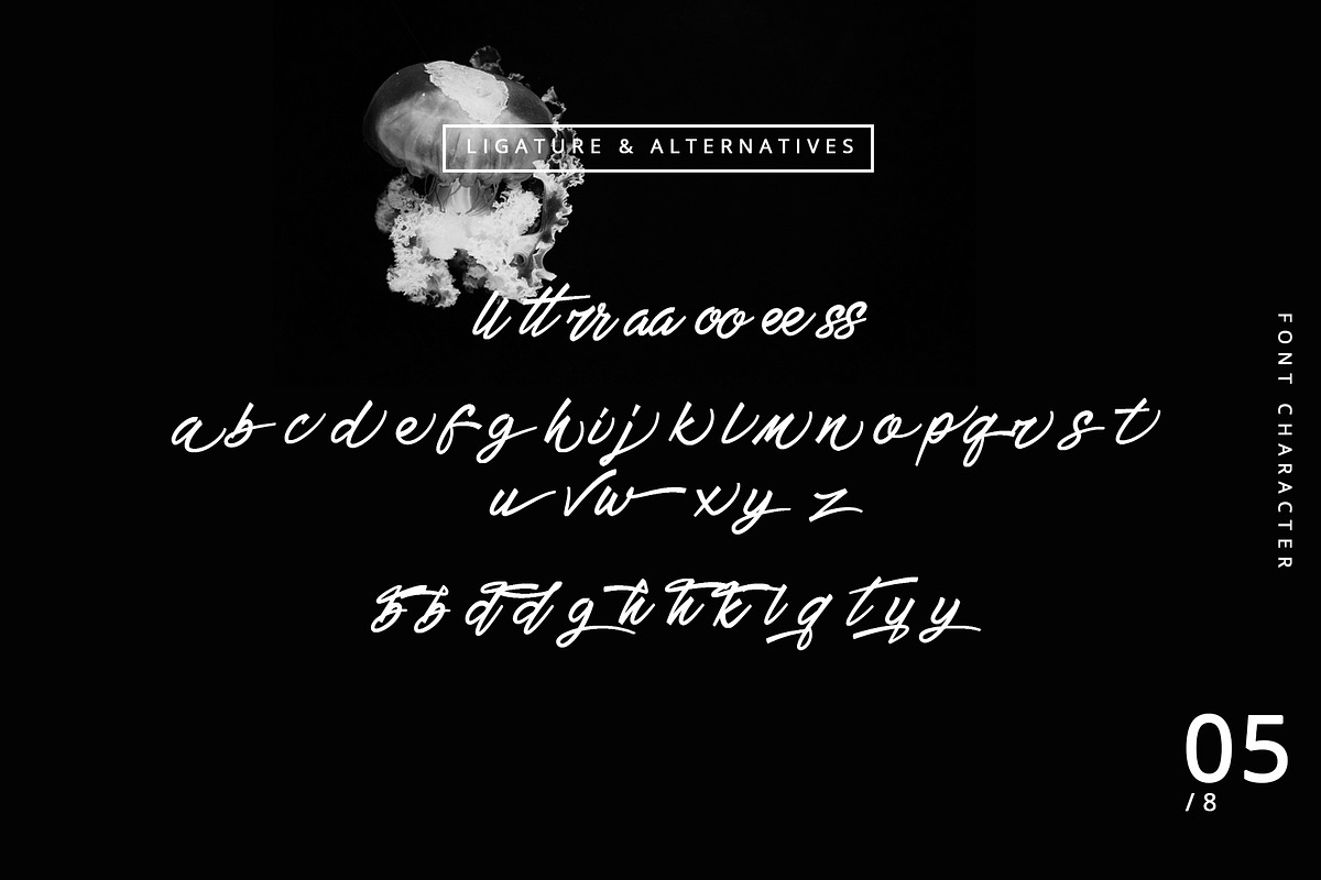Windasa font preview 5