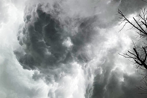 Dark storm clouds roll over bare trees in Indiana, creating a moody and dramati, a Photo by AS photostudio