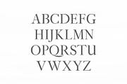 Adallyn Serif Font Family, a Serif Font by Creativetacos (Thumbnail 2 of 7)