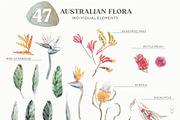 Australia Animals & Flora Watercolor, an Animal Illustration by Cat In Colour (Thumbnail 7 of 13)