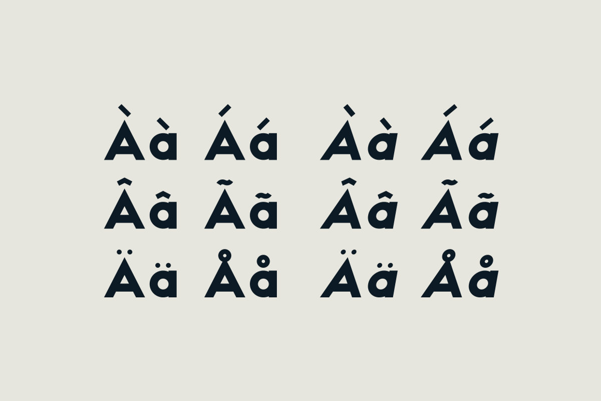 HAUS Sans Extra Bold, a Sans Serif Font by MARTINI Type Designer (Photo 4 of 5)