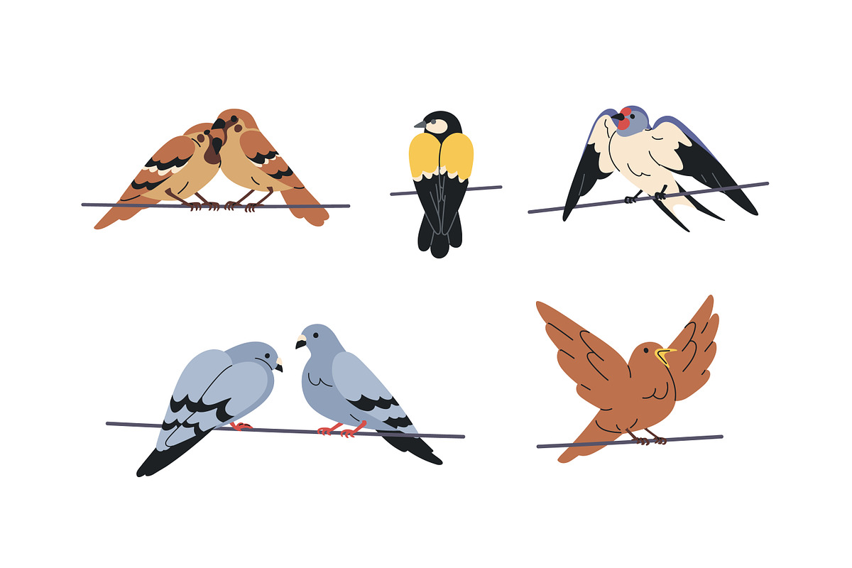 Different birds sitting on wires set, an Animal Illustration by Good Studio (Photo 2 of 5)
