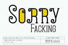 Sorry Facking