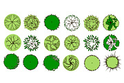 Set of graphic trees, top view, an Illustration by Lina_Lisichka (Thumbnail 5 of 5)
