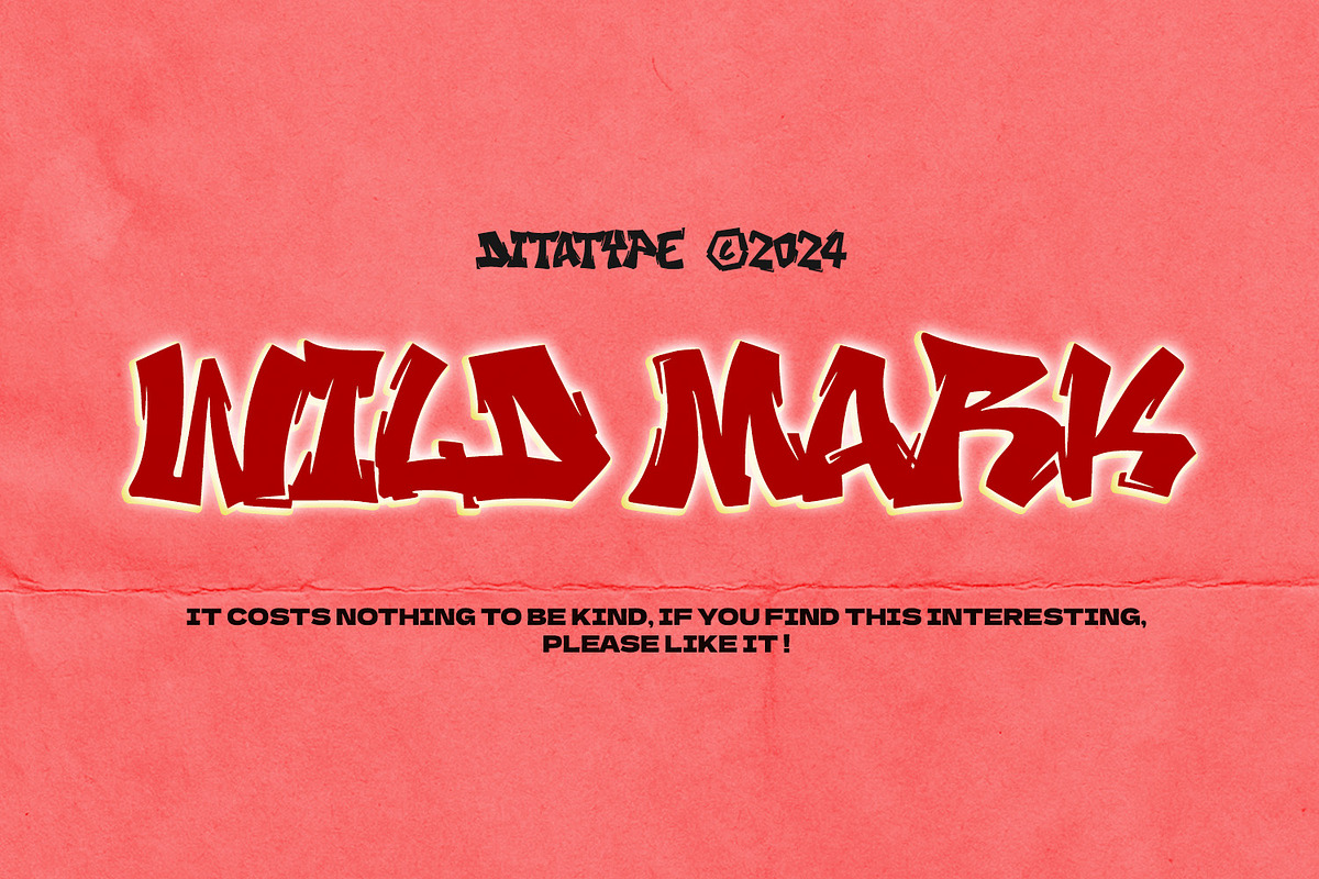 Wild Mark, a Script Font by Ditatype (Photo 11 of 11)