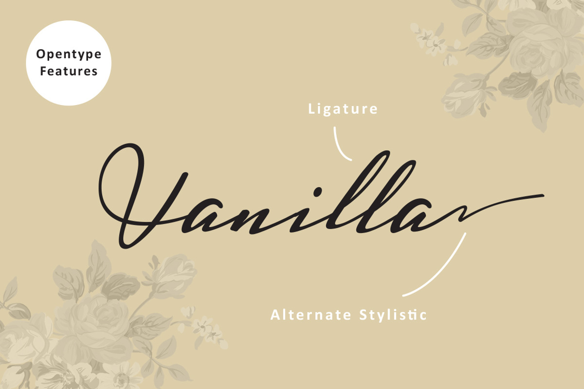Harmonie Script, a Script Font by ianmikraz (Photo 3 of 5)
