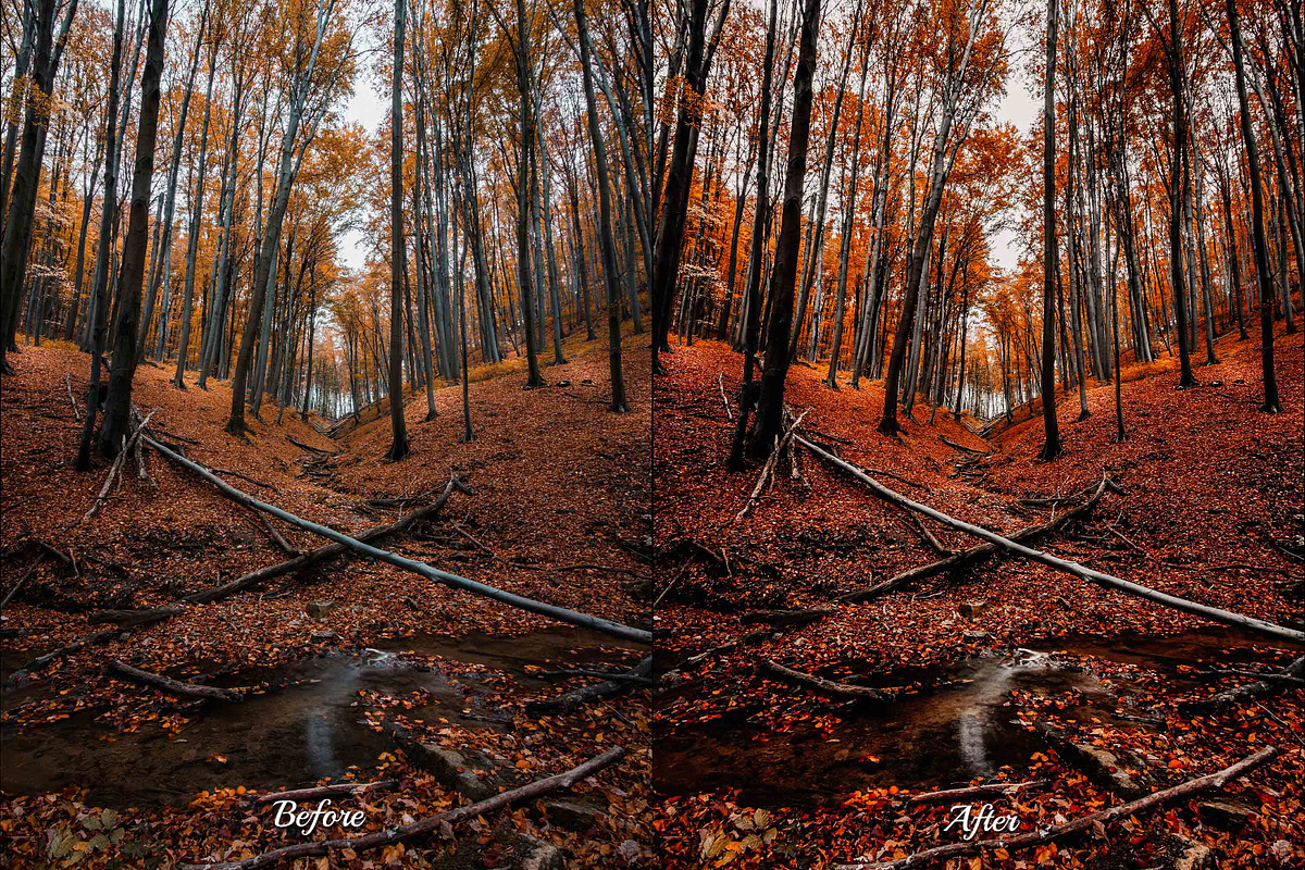 30 Rainy Fall Lightroom Collection, a Preset Add-On by 3Motional (Photo 9 of 11)
