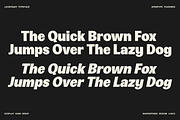 Leinfrakt - Heavy Display Sans, a Sans Serif Font by Shapespired Design (Thumbnail 11 of 16)