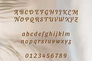 Dariul Sans Font Family, a Sans Serif Font by Creative Foundry (Thumbnail 6 of 8)