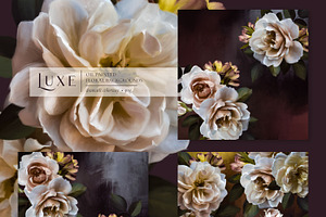 Luxe Oil Paint Floral Graphics