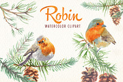 watercolor robin bird clipart, an Illustration by Art & Things (Thumbnail 2 of 10)